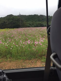 20161028161810.JPG