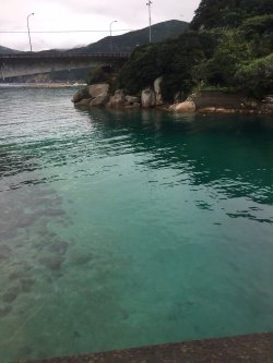20161028161815.JPG