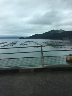 20161028161816.JPG