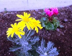 20161030211003.JPG