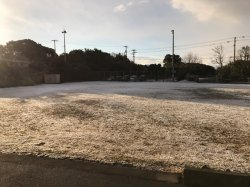 20170116090858.JPG