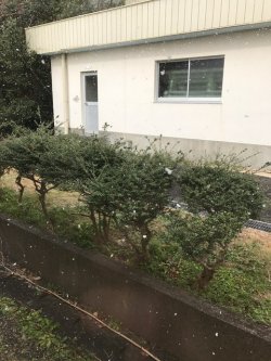 20170123162713.JPG