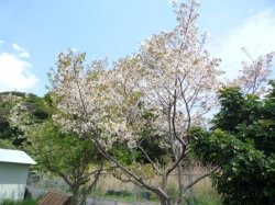 20170412144439.JPG