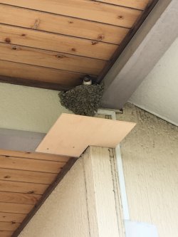 20170617100449.JPG
