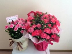 20170515192208.JPG