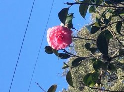 20170221172024.JPG