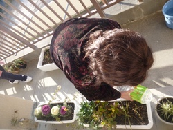 ファイル 10-1.jpg