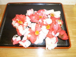 ファイル 101-4.jpg