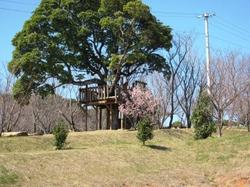 ファイル 106-2.jpg