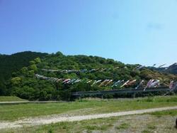 ファイル 115-1.jpg