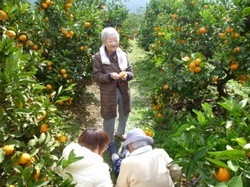 ファイル 157-2.jpg