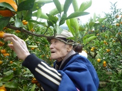 ファイル 157-3.jpg
