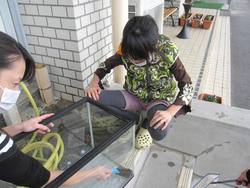 ファイル 19-1.jpg