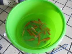 ファイル 19-2.jpg