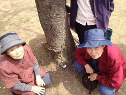 ファイル 190-2.jpg