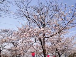 ファイル 190-4.jpg