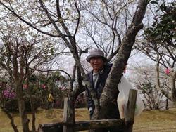 ファイル 190-5.jpg