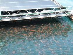 ファイル 204-4.jpg