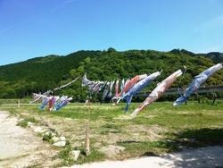 ファイル 206-1.jpg