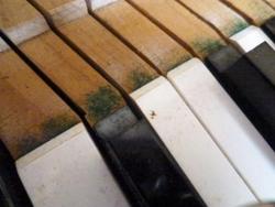 ファイル 207-3.jpg