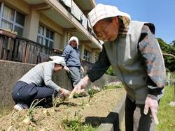 ファイル 209-3.jpg