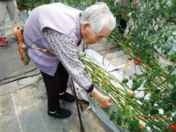 ファイル 215-1.jpg