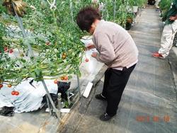 ファイル 215-2.jpg