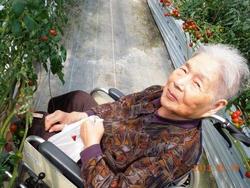 ファイル 215-3.jpg