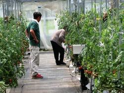 ファイル 215-4.jpg