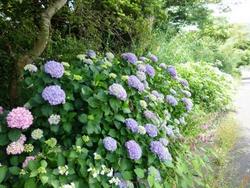 ファイル 216-1.jpg