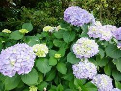 ファイル 216-2.jpg