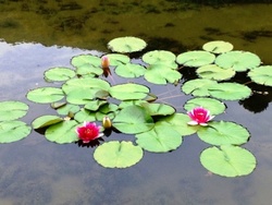 ファイル 232-3.jpg