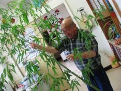 ファイル 235-1.jpg