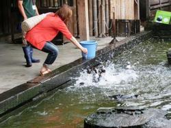 ファイル 238-2.jpg