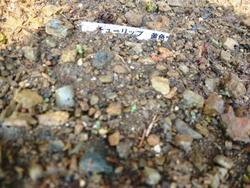 ファイル 281-3.jpg