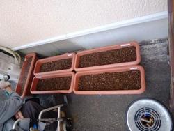 ファイル 285-3.jpg