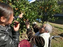 ファイル 288-1.jpg