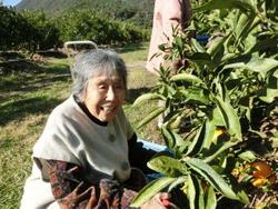 ファイル 288-2.jpg