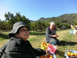 ファイル 288-5.jpg