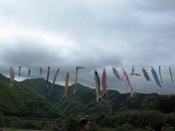 ファイル 29-4.jpg