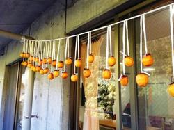 ファイル 290-4.jpg