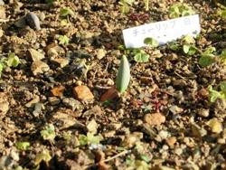 ファイル 294-1.jpg