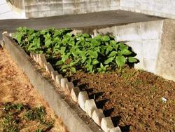 ファイル 294-3.jpg