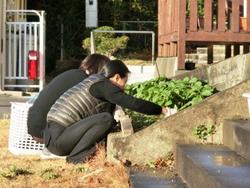 ファイル 294-4.jpg