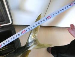 ファイル 305-2.jpg