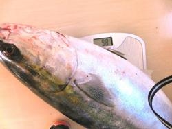 ファイル 305-3.jpg