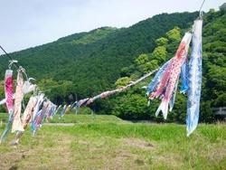 ファイル 328-3.jpg