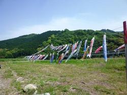 ファイル 328-4.jpg