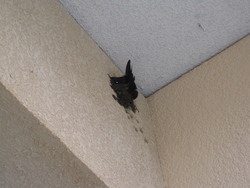 ファイル 34-1.jpg