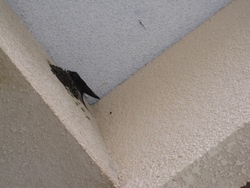 ファイル 34-2.jpg